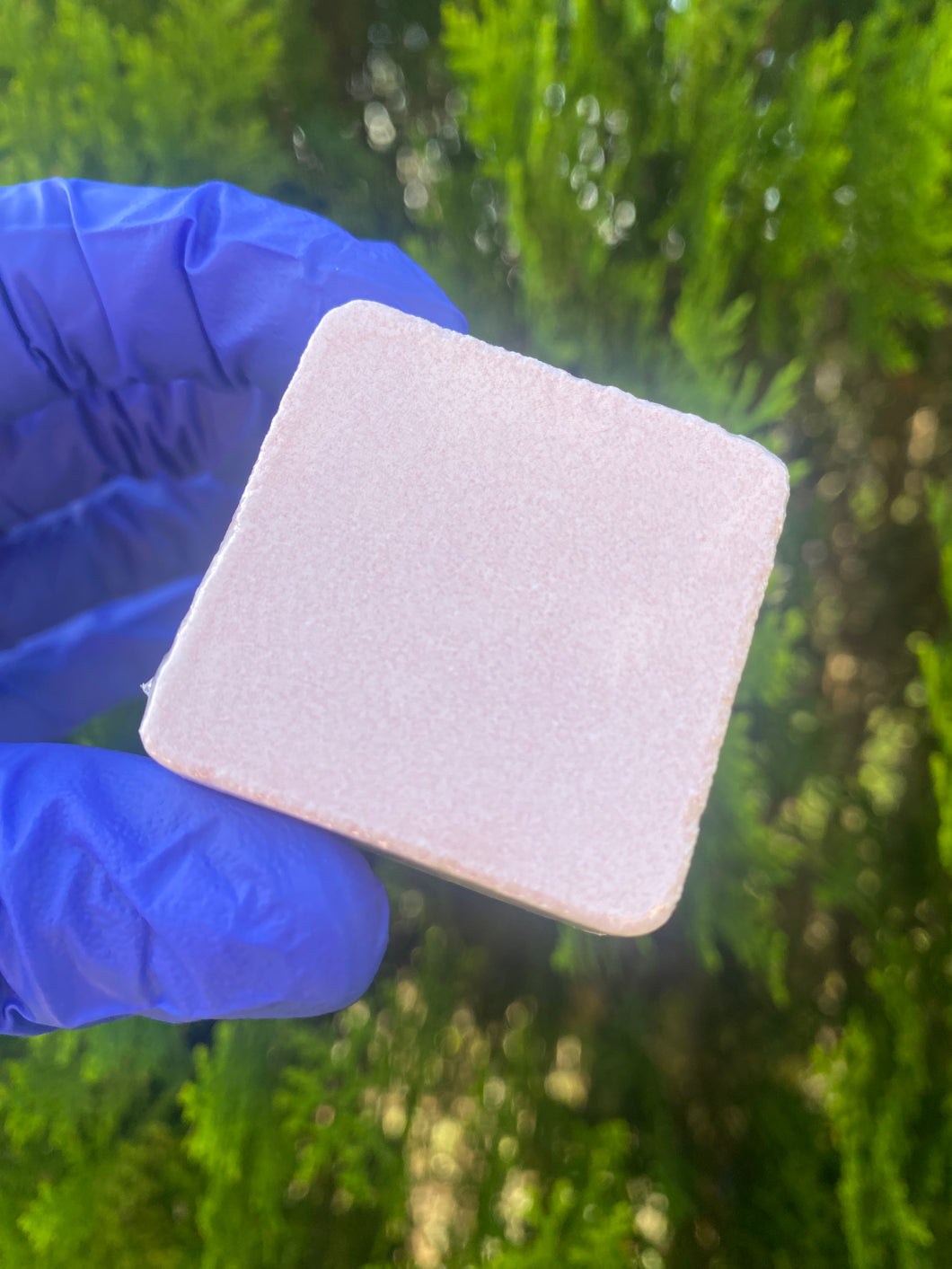 New! Pomegranate Shower Steamers